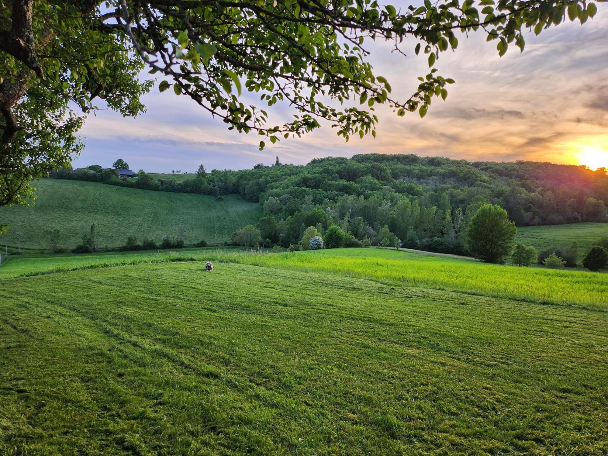 Domaine De Massoulac Molières Eksteriør bilde